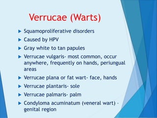 Verrucae (Warts)
 Squamoproliferative disorders
 Caused by HPV
 Gray white to tan papules
 Verrucae vulgaris- most common, occur
anywhere, frequently on hands, periungual
areas
 Verrucae plana or fat wart- face, hands
 Verrucae plantaris- sole
 Verrucae palmaris- palm
 Condyloma acuminatum (veneral wart) –
genital region
 