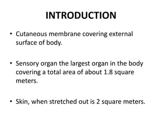 INTRODUCTION
• Cutaneous membrane covering external
surface of body.
• Sensory organ the largest organ in the body
covering a total area of about 1.8 square
meters.
• Skin, when stretched out is 2 square meters.
 
