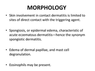 MORPHOLOGY
• Skin involvement in contact dermatitis is limited to
sites of direct contact with the triggering agent.
• Spongiosis, or epidermal edema, characteristic of
acute eczematous dermatitis—hence the synonym
spongiotic dermatitis.
• Edema of dermal papillae, and mast cell
degranulation.
• Eosinophils may be present.
 