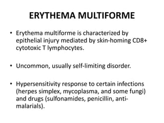 ERYTHEMA MULTIFORME
• Erythema multiforme is characterized by
epithelial injury mediated by skin-homing CD8+
cytotoxic T lymphocytes.
• Uncommon, usually self-limiting disorder.
• Hypersensitivity response to certain infections
(herpes simplex, mycoplasma, and some fungi)
and drugs (sulfonamides, penicillin, anti-
malarials).
 