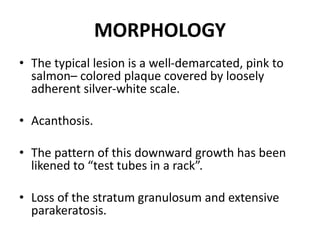 MORPHOLOGY
• The typical lesion is a well-demarcated, pink to
salmon– colored plaque covered by loosely
adherent silver-white scale.
• Acanthosis.
• The pattern of this downward growth has been
likened to “test tubes in a rack”.
• Loss of the stratum granulosum and extensive
parakeratosis.
 