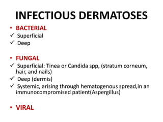 INFECTIOUS DERMATOSES
• BACTERIAL
 Superficial
 Deep
• FUNGAL
 Superficial: Tinea or Candida spp, (stratum corneum,
hair, and nails)
 Deep (dermis)
 Systemic, arising through hematogenous spread,in an
immunocompromised patient(Aspergillus)
• VIRAL
 