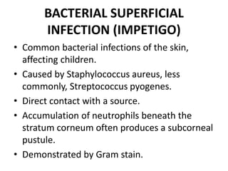 BACTERIAL SUPERFICIAL
INFECTION (IMPETIGO)
• Common bacterial infections of the skin,
affecting children.
• Caused by Staphylococcus aureus, less
commonly, Streptococcus pyogenes.
• Direct contact with a source.
• Accumulation of neutrophils beneath the
stratum corneum often produces a subcorneal
pustule.
• Demonstrated by Gram stain.
 