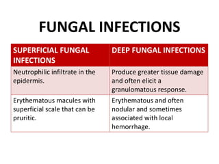 FUNGAL INFECTIONS
SUPERFICIAL FUNGAL
INFECTIONS
DEEP FUNGAL INFECTIONS
Neutrophilic infiltrate in the
epidermis.
Produce greater tissue damage
and often elicit a
granulomatous response.
Erythematous macules with
superficial scale that can be
pruritic.
Erythematous and often
nodular and sometimes
associated with local
hemorrhage.
 