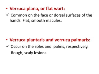 • Verruca plana, or flat wart:
 Common on the face or dorsal surfaces of the
hands. Flat, smooth macules.
• Verruca plantaris and verruca palmaris:
 Occur on the soles and palms, respectively.
Rough, scaly lesions.
 