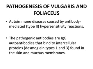 PATHOGENESIS OF VULGARIS AND
FOLIACEUS
• Autoimmune diseases caused by antibody-
mediated (type II) hypersensitivity reactions.
• The pathogenic antibodies are IgG
autoantibodies that bind to intercellular
proteins (desmoglein types 1 and 3) found in
the skin and mucous membranes.
 