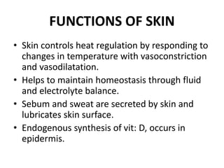 FUNCTIONS OF SKIN
• Skin controls heat regulation by responding to
changes in temperature with vasoconstriction
and vasodilatation.
• Helps to maintain homeostasis through fluid
and electrolyte balance.
• Sebum and sweat are secreted by skin and
lubricates skin surface.
• Endogenous synthesis of vit: D, occurs in
epidermis.
 
