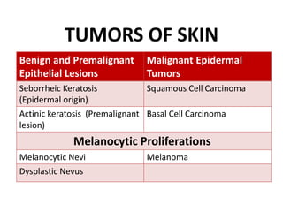 TUMORS OF SKIN
Benign and Premalignant
Epithelial Lesions
Malignant Epidermal
Tumors
Seborrheic Keratosis
(Epidermal origin)
Squamous Cell Carcinoma
Actinic keratosis (Premalignant
lesion)
Basal Cell Carcinoma
Melanocytic Proliferations
Melanocytic Nevi Melanoma
Dysplastic Nevus
 