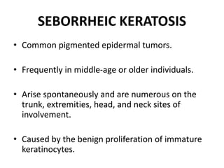 SEBORRHEIC KERATOSIS
• Common pigmented epidermal tumors.
• Frequently in middle-age or older individuals.
• Arise spontaneously and are numerous on the
trunk, extremities, head, and neck sites of
involvement.
• Caused by the benign proliferation of immature
keratinocytes.
 