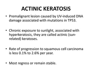 ACTINIC KERATOSIS
• Premalignant lesion caused by UV-induced DNA
damage associated with mutations in TP53.
• Chronic exposure to sunlight, associated with
hyperkeratosis, they are called actinic (sun-
related) keratoses.
• Rate of progression to squamous cell carcinoma
is less 0.1% to 2.6% per year.
• Most regress or remain stable.
 
