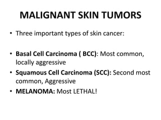 MALIGNANT SKIN TUMORS
• Three important types of skin cancer:
• Basal Cell Carcinoma ( BCC): Most common,
locally aggressive
• Squamous Cell Carcinoma (SCC): Second most
common, Aggressive
• MELANOMA: Most LETHAL!
 