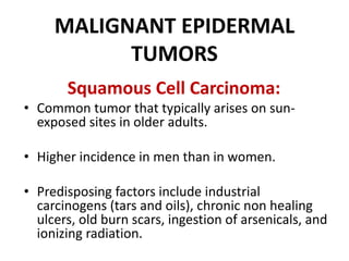 MALIGNANT EPIDERMAL
TUMORS
Squamous Cell Carcinoma:
• Common tumor that typically arises on sun-
exposed sites in older adults.
• Higher incidence in men than in women.
• Predisposing factors include industrial
carcinogens (tars and oils), chronic non healing
ulcers, old burn scars, ingestion of arsenicals, and
ionizing radiation.
 