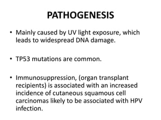 PATHOGENESIS
• Mainly caused by UV light exposure, which
leads to widespread DNA damage.
• TP53 mutations are common.
• Immunosuppression, (organ transplant
recipients) is associated with an increased
incidence of cutaneous squamous cell
carcinomas likely to be associated with HPV
infection.
 