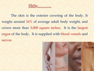 The skin is the exterior covering of the body. It
weighs around 16% of average adult body weight, and
covers more than 3,000 square inches. It is the largest
organ of the body. It is supplied with blood vessels and
nerves
 