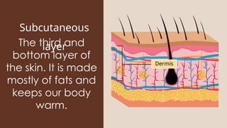 PARTS OF THE SKIN AND TAKING CARE OF IT.pptx