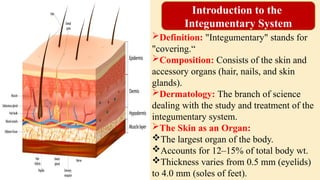 Integument Def Structure and function of Integumentary system (skin).pptx