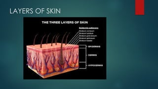 Comprehensive Overview of Skin Anatomy, Functions, and Infections | PPTX