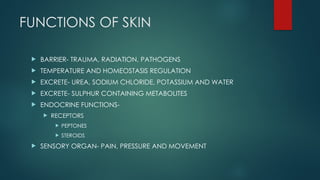 Comprehensive Overview of Skin Anatomy, Functions, and Infections | PPTX