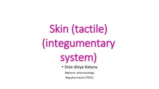 • Sree divya Katuru
Mpharm. pharmacology
Reg.pharmacist (TSPCI)
Skin (tactile)
(integumentary
system)
 