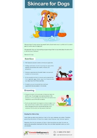 Skin-Care-Dog-Infographics.pdf