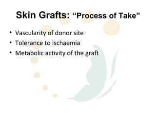 Skin Grafts: “Process of Take”
• Vascularity of donor site
• Tolerance to ischaemia
• Metabolic activity of the graft
 