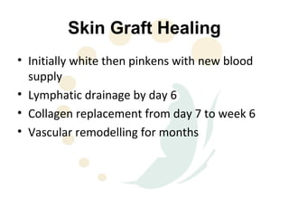 Skin Graft Healing
• Initially white then pinkens with new blood
  supply
• Lymphatic drainage by day 6
• Collagen replacement from day 7 to week 6
• Vascular remodelling for months
 