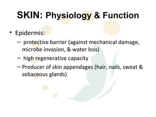 SKIN: Physiology & Function
• Epidermis:
  – protective barrier (against mechanical damage,
    microbe invasion, & water loss)
  – high regenerative capacity
  – Producer of skin appendages (hair, nails, sweat &
    sebaceous glands)
 