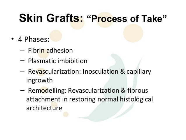 three stages of skin graft healing