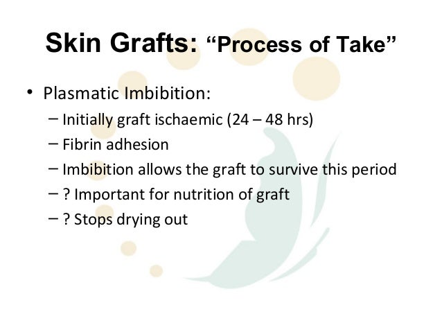 three stages of skin graft healing