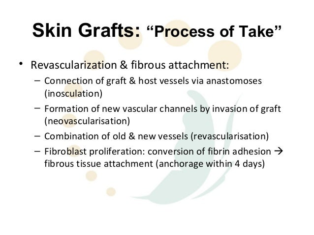 three stages of skin graft healing