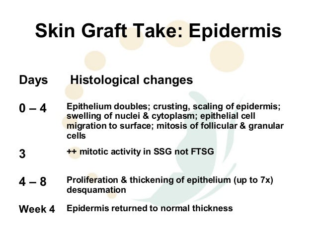 three stages of skin graft healing