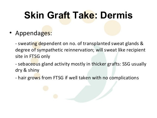 three stages of skin graft healing