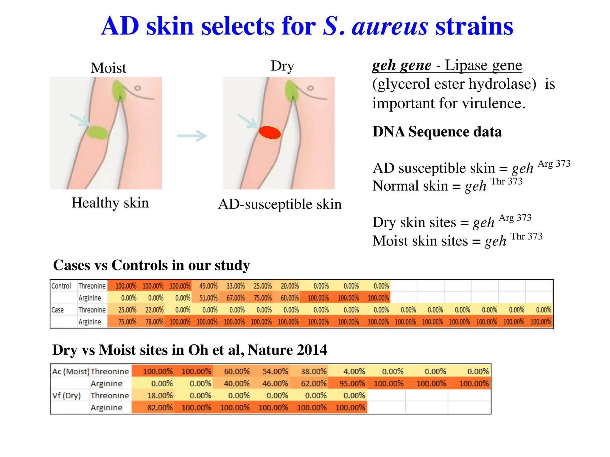 The Role of the Skin Microbiome in Atopic Dermatitis (Eczema) | PDF
