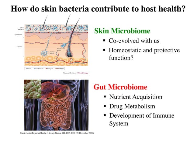 The Role of the Skin Microbiome in Atopic Dermatitis (Eczema) | PPT