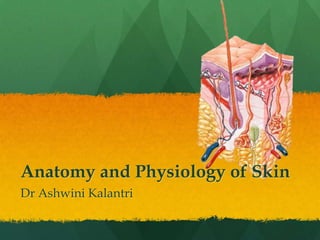 Anatomy and Physiology of Skin
Dr Ashwini Kalantri
 