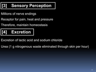 31
[3] Sensory Perception
Millions of nerve endings
Receptor for pain, heat and pressure
Therefore, maintain homeostasis
[4] Excretion
Excretion of lactic acid and sodium chloride
Urea (1 g nitrogenous waste eliminated through skin per hour)
 