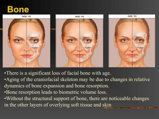 Skin Ageing Medical pptx Skin Ageing Medical pptx