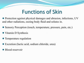 Functions of Skin
● Protection against physical damages and abrasion, infections, UV
and other radiations, oozing body fluid and solutes in.

● Sensory Perception (touch, temperature, pressure, pain, etc.)
● Vitamin D Synthesis
● Temperature regulation
● Excretion (lactic acid, sodium chloride, urea)

● Blood reservoir

 