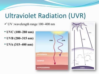 Ultraviolet Radiation (UVR)
 UV :wavelength range 100–400 nm

• UVC (100–280 nm)
• UVB (280–315 nm)
• UVA (315–400 nm)

 