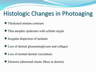 Histologic Changes in Photoaging
● Thickened stratum corneum
● Thin atrophic epidermis with cellular atypia
● Irregular dispersion of melanin
● Loss of dermal glosaminoglycans and collagen
● Loss of normal dermal vasculature
● Elastosis (abnormal elastic fibres in dermis)

 