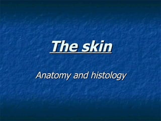 The skin Anatomy and histology 