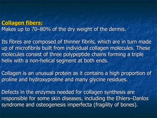 Collagen fibers: Makes up to 70–80% of the dry weight of the dermis. Its fibres are composed of thinner fibrils, which are in turn made up of microfibrils built from individual collagen molecules. These molecules consist of three polypeptide chains forming a triple helix with a non-helical segment at both ends. Collagen is an unusual protein as it contains a high proportion of proline and hydroxyproline and many glycine residues.  Defects in the enzymes needed for collagen synthesis are responsible for some skin diseases, including the Ehlers–Danlos syndrome and osteogenesis imperfecta (fragility of bones). 