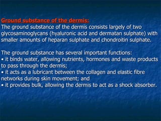Ground substance of the dermis: The ground substance of the dermis consists largely of two glycosaminoglycans (hyaluronic acid and dermatan sulphate) with smaller amounts of heparan sulphate and chondroitin sulphate. The ground substance has several important functions: •  it binds water, allowing nutrients, hormones and waste products to pass through the dermis; •  it acts as a lubricant between the collagen and elastic fibre networks during skin movement; and •  it provides bulk, allowing the dermis to act as a shock absorber. 