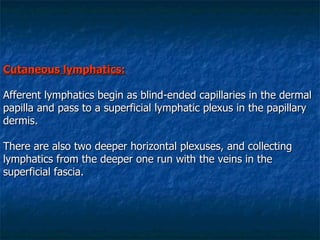 Cutaneous lymphatics: Afferent lymphatics begin as blind-ended capillaries in the dermal papilla and pass to a superficial lymphatic plexus in the papillary dermis.  There are also two deeper horizontal plexuses, and collecting lymphatics from the deeper one run with the veins in the superficial fascia. 