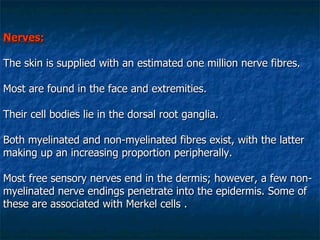 Nerves: The skin is supplied with an estimated one million nerve fibres. Most are found in the face and extremities.  Their cell bodies lie in the dorsal root ganglia. Both myelinated and non-myelinated fibres exist, with the latter making up an increasing proportion peripherally.  Most free sensory nerves end in the dermis; however, a few non-myelinated nerve endings penetrate into the epidermis. Some of these are associated with Merkel cells .   