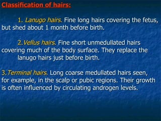 Classiﬁcation of hairs: 1.  Lanugo hairs .  Fine long hairs covering the fetus, but shed about 1 month before birth. 2. Vellus hairs .  Fine short unmedullated hairs covering much of the body surface. They replace the  lanugo hairs just before birth.   3. Terminal hairs .  Long coarse medullated hairs seen, for example, in the scalp or pubic regions. Their growth is often inﬂuenced by circulating androgen levels.  