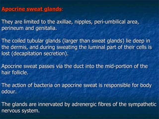 Apocrine sweat glands : They are limited to the axillae, nipples, peri-umbilical area, perineum and genitalia.  The coiled tubular glands (larger than sweat glands) lie deep in the dermis, and during sweating the luminal part of their cells is lost (decapitation secretion).  Apocrine sweat passes via the duct into the mid-portion of the hair follicle.  The action of bacteria on apocrine sweat is responsible for body odour.  The glands are innervated by adrenergic fibres of the sympathetic nervous system.   