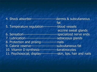 4. Shock absorber---------------------dermis & subcutaneous    fat 5. Temperature regulation------------blood vessels   eccrine sweat glands 6. Sensation-----------------------------specialized nerve ends 7. Lubrication---------------------------sebaceous glands 8. Protection and prising--------------nails 9. Calorie reserve----------------------subcutaneous fat 10. Vitamin D synthesis---------------keratinocytes 11. Psychosocial, display--------------skin, lips, hair and nails 