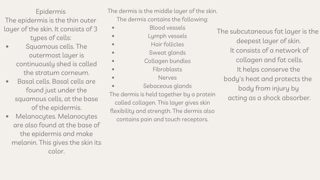 Skin Anatomy of human skin LAYERS OF SKIN Biology Diagrams