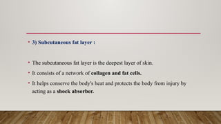 skin anatomtcuvuzrx6v7v7vuij8hvububububy.pptx